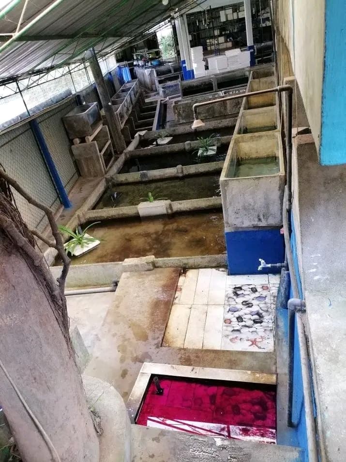 Conditioning Station